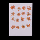 16 Pieces Dried Pressed Flowers DIY Embossed Photo Frame Phone Case Material