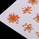 16 Pieces Dried Pressed Flowers DIY Embossed Photo Frame Phone Case Material