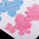 aby:20pcs Pressed Hydrangea Dried Flower DIY Phone Case Bookmark Resin Jewelry
