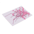 10 Pieces Beautiful Real Pressed Flowers Dried Flower Embellishments DIY Materials for Card Making Jewelry Resin Crafts Scrapbooking Art Crafts Accessories - Babysbreath, 10cm / 3.94inch