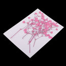 10 Pieces Beautiful Real Pressed Flowers Dried Flower Embellishments DIY Materials for Card Making Jewelry Resin Crafts Scrapbooking Art Crafts Accessories - Babysbreath, 10cm / 3.94inch