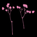 10 Pieces Beautiful Real Pressed Flowers Dried Flower Embellishments DIY Materials for Card Making Jewelry Resin Crafts Scrapbooking Art Crafts Accessories - Babysbreath, 10cm / 3.94inch