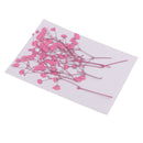 10 Pieces Beautiful Real Pressed Flowers Dried Flower Embellishments DIY Materials for Card Making Jewelry Resin Crafts Scrapbooking Art Crafts Accessories - Babysbreath, 10cm / 3.94inch