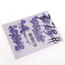20 Pieces Beautiful Real Pressed Flowers Floral Embellishments for Handmade Card Making Scrapbooking Art Crafts Home Wedding Decor Phone Cover Making, Gaura Lindheimeri, 2 - 2.5cm / 0.79 - 0.98inches