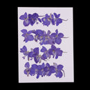 20 Pieces Beautiful Real Pressed Flowers Floral Embellishments for Handmade Card Making Scrapbooking Art Crafts Home Wedding Decor Phone Cover Making, Gaura Lindheimeri, 2 - 2.5cm / 0.79 - 0.98inches
