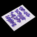 20 Pieces Beautiful Real Pressed Flowers Floral Embellishments for Handmade Card Making Scrapbooking Art Crafts Home Wedding Decor Phone Cover Making, Gaura Lindheimeri, 2 - 2.5cm / 0.79 - 0.98inches