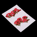 10 Pieces Natural Real Red Flower Pressed Dried Flowers for DIY Ornament Craft Jewelry Making Pendants Charms