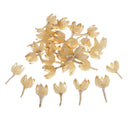 30 Pieces Approx 2 - 3cm Real Rose Hips Decolourize Dried Flowers for DIY Crafts Home Decorating Wedding Decoration Floral Arts