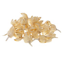 30 Pieces Approx 2 - 3cm Real Rose Hips Decolourize Dried Flowers for DIY Crafts Home Decorating Wedding Decoration Floral Arts