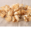 30 Pieces Approx 2 - 3cm Real Rose Hips Decolourize Dried Flowers for DIY Crafts Home Decorating Wedding Decoration Floral Arts