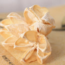 30 Pieces Approx 2 - 3cm Real Rose Hips Decolourize Dried Flowers for DIY Crafts Home Decorating Wedding Decoration Floral Arts