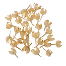 30 Pieces Approx 2 - 3cm Real Rose Hips Decolourize Dried Flowers for DIY Crafts Home Decorating Wedding Decoration Floral Arts