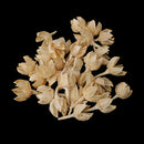 30 Pieces Approx 2 - 3cm Real Rose Hips Decolourize Dried Flowers for DIY Crafts Home Decorating Wedding Decoration Floral Arts