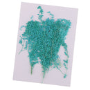 20 Pcs Dyed Dried Pressed Flowers Real Dried Flowers Natural Press Dried Flowers Crafts DIY Postcard Card Making Supplies / Scrapbooking Embellishment