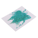 20 Pcs Dyed Dried Pressed Flowers Real Dried Flowers Natural Press Dried Flowers Crafts DIY Postcard Card Making Supplies / Scrapbooking Embellishment