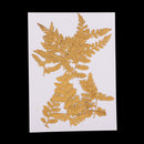 10PCS Pressed Natural Dried Flowers DIY Phone Case Bookmark Resin Jewelry