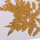 10PCS Pressed Natural Dried Flowers DIY Phone Case Bookmark Resin Jewelry