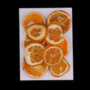 10x Pressed Natural Dried Fruits Orange Slices DIY Jewelry Photography Tools