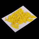 10 Pieces Natural Dried Pressed Flower Dyed for Miniature Herbarium Craft DIY Scrapbooking and Card Making Crafts