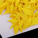 10 Pieces Natural Dried Pressed Flower Dyed for Miniature Herbarium Craft DIY Scrapbooking and Card Making Crafts