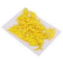 10 Pieces Natural Dried Pressed Flower Dyed for Miniature Herbarium Craft DIY Scrapbooking and Card Making Crafts