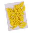 10 Pieces Natural Dried Pressed Flower Dyed for Miniature Herbarium Craft DIY Scrapbooking and Card Making Crafts