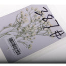Pack of 10 Real Pressed Dried Flowers Natural Dry Babys Breath Flowers DIY Making Card Handmade Jewelry Resin Crafts Scrapbooking Art Crafts Accessories