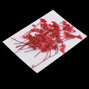 20 Pieces Dyed Dry Plum Art Plant Specimen DIY Resin Casting Crafts Scrapbooking Wedding Invitation Card Making Phone Case Arts & Crafts Decoration DIY Materials
