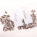 100 Pieces Unfinished Wood Hollow 4-pointed Star Wooden Pieces Embellishment for Kids DIY Wood Crafts 10mm