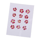 12 Pieces Natural Dried Flowers Verbena for DIY Pendants Handmade Resin Ornament Phone Case Decoration