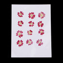 12 Pieces Natural Dried Flowers Verbena for DIY Pendants Handmade Resin Ornament Phone Case Decoration