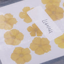 12 Pieces Real Pressed Yellow Amaranthus Flowers Natural Dried Flowers For Scrapbooking Arts & Crafts Resin Jewelry Mold Filler Phone Case Decor DIY Accessories