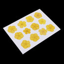 12 Pieces Real Pressed Yellow Amaranthus Flowers Natural Dried Flowers For Scrapbooking Arts & Crafts Resin Jewelry Mold Filler Phone Case Decor DIY Accessories