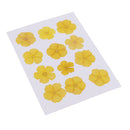 12 Pieces Real Pressed Yellow Amaranthus Flowers Natural Dried Flowers For Scrapbooking Arts & Crafts Resin Jewelry Mold Filler Phone Case Decor DIY Accessories