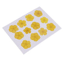 12 Pieces Real Pressed Yellow Amaranthus Flowers Natural Dried Flowers For Scrapbooking Arts & Crafts Resin Jewelry Mold Filler Phone Case Decor DIY Accessories