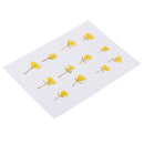 12 Pieces Dried Pressed Flowers Rape Flowers Plant Herbarium for Craft Making Photo Frame Phone Case Decor