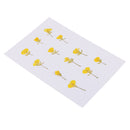 12 Pieces Dried Pressed Flowers Rape Flowers Plant Herbarium for Craft Making Photo Frame Phone Case Decor
