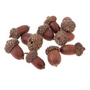 10 Pieces Rustic Natural Acorns Dried Table Decorations for Accents Home Christmas Party Decoration Ornaments DIY Floral Arts Crafts