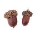 10 Pieces Rustic Natural Acorns Dried Table Decorations for Accents Home Christmas Party Decoration Ornaments DIY Floral Arts Crafts