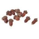 10 Pieces Rustic Natural Acorns Dried Table Decorations for Accents Home Christmas Party Decoration Ornaments DIY Floral Arts Crafts