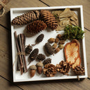 10 Pieces Rustic Natural Acorns Dried Table Decorations for Accents Home Christmas Party Decoration Ornaments DIY Floral Arts Crafts