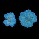 12 Pieces Real Pressed Flower Dried Cherry Blossom Dyed Blue Flowers for Floral Crafts Card Making