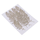 Natural Senecio Cineraria Real Pressed Dried Flowers Embellishments DIY Herbarium Materials Card Making Jewelry Resin Crafts Scrapbooking Art Crafts pack of 12 Pcs