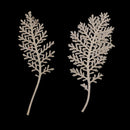 Natural Senecio Cineraria Real Pressed Dried Flowers Embellishments DIY Herbarium Materials Card Making Jewelry Resin Crafts Scrapbooking Art Crafts pack of 12 Pcs