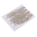 Natural Senecio Cineraria Real Pressed Dried Flowers Embellishments DIY Herbarium Materials Card Making Jewelry Resin Crafts Scrapbooking Art Crafts pack of 12 Pcs