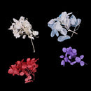 3g/Pack Hydrangea Natural Real Dried Flowers for DIY Crafts Scrapbooking Nail Art Jewelry Making DIY Necklace Pendants