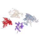 3g/Pack Hydrangea Natural Real Dried Flowers for DIY Crafts Scrapbooking Nail Art Jewelry Making DIY Necklace Pendants