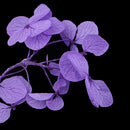 3g/Pack Hydrangea Natural Real Dried Flowers for DIY Crafts Scrapbooking Nail Art Jewelry Making DIY Necklace Pendants