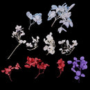3g/Pack Hydrangea Natural Real Dried Flowers for DIY Crafts Scrapbooking Nail Art Jewelry Making DIY Necklace Pendants