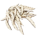 50 Pieces Natural Unfinished Wood Feathers Shape Wooden Pieces Embellishment with Hole for DIY Craft